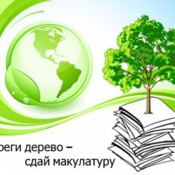 Макулатуру соберем и деревья сбережём!