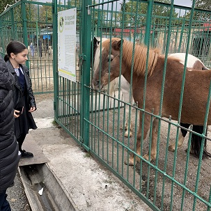 Мы в ответе за тех, кого приручили